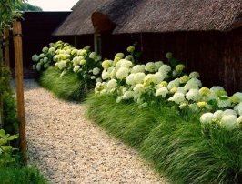 Pourquoi faire une étude Feng Shui ?
