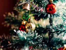 Noël sous le signe de la nature